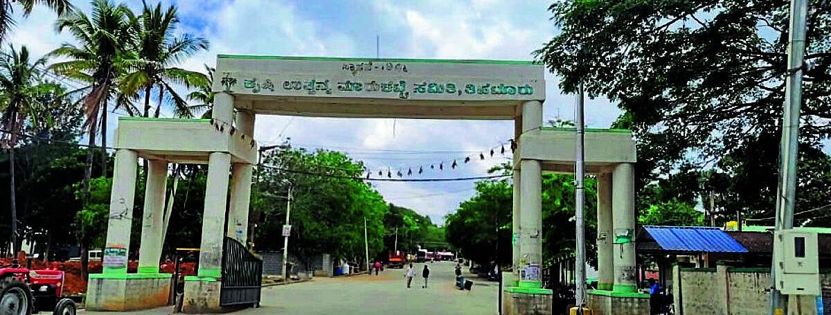 ತಿಪಟೂರು: ಎಂಟು ದಶಕದ ಎಪಿಎಂಸಿಗೆ ಬೇಕಿದೆ ಆಧುನಿಕ ಸ್ಪರ್ಶ