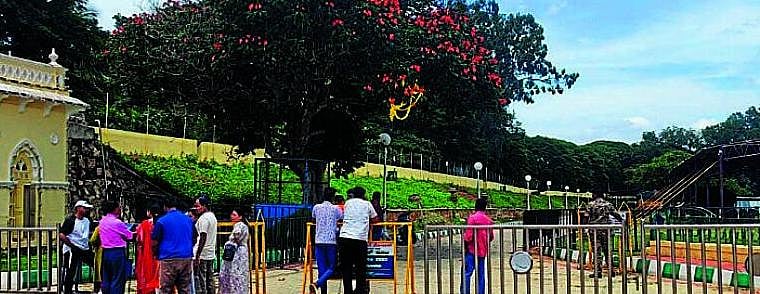 ದಸರಾ ಗಜಪಡೆಗೆ ಬಿಗಿ ಭದ್ರತೆ, ವೀಕ್ಷಣೆಗಿಲ್ಲ ಅವಕಾಶ; ನಿರಾಸೆಯಿಂದ ಹಿಂದಿರುಗಿದ ಜನ