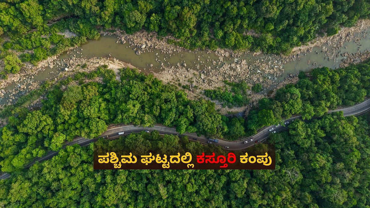 ಕಸ್ತೂರಿರಂಗನ್ ವರದಿ: ಜನರ ಒಕ್ಕಲೆಬ್ಬಿಸಲು ಬಂದದ್ದಲ್ಲ; ಪಶ್ಚಿಮ ಘಟ್ಟ ಉಳಿಸಲಷ್ಟೇ