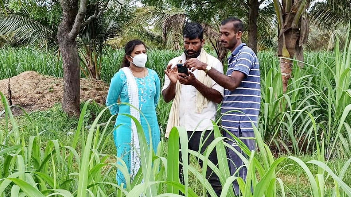 ಮುಂಗಾರು ಬೆಳೆ ಸಮೀಕ್ಷೆ ಆರಂಭ, ಮಾಹಿತಿ ನೀಡದಿದ್ದರೆ ಸಾಲ, ಸೌಲಭ್ಯಕ್ಕೆ ಅಡ್ಡಿ