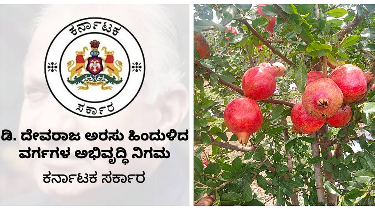 ನೀರಾವರಿ, ಶಿಕ್ಷಣ ಚಟುವಟಿಕೆ, ಉದ್ಯಮ ಆರಂಭಕ್ಕೆ ಸಿಗಲಿದೆ  ಸೌಲಭ್ಯ; ಏನಿದು ಯೋಜನೆ