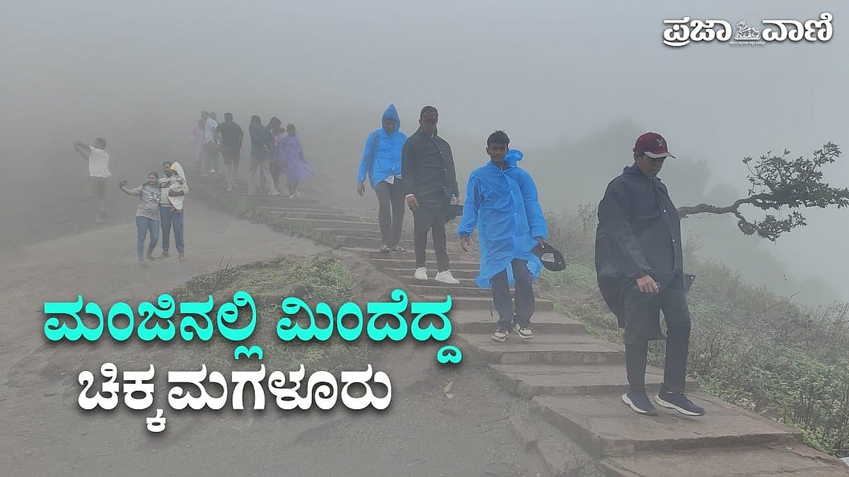 ಮಂಜಿನ ಮಡಿಲಲ್ಲಿ ಚಿಕ್ಕಮಗಳೂರು: ಪ್ರವಾಸಿಗರನ್ನು ಕೈಬೀಸಿ ಕರೆಯುತ್ತಿದೆ ಕಾಫಿನಾಡು