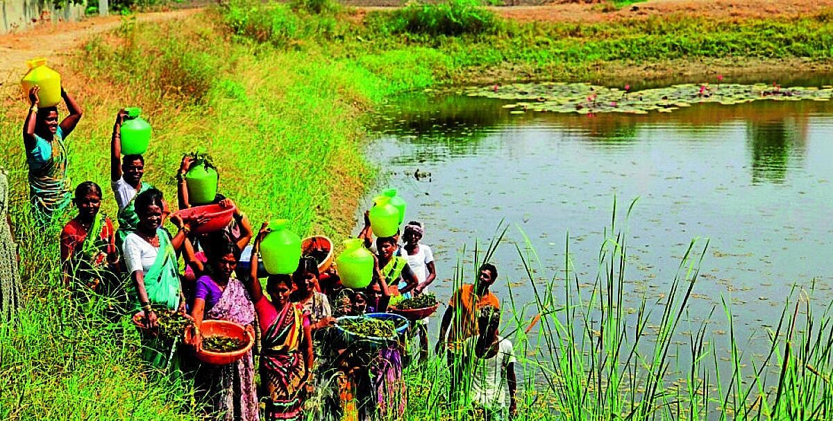 ರೋಗ ಭೀತಿಯಲ್ಲಿ ವರಮಯ್ಯ ಕ್ಯಾಂಪ್; ಅಶುದ್ಧ ನೀರು ಕುಡಿಯುತ್ತಿರುವ ಗ್ರಾಮಸ್ಥರು
