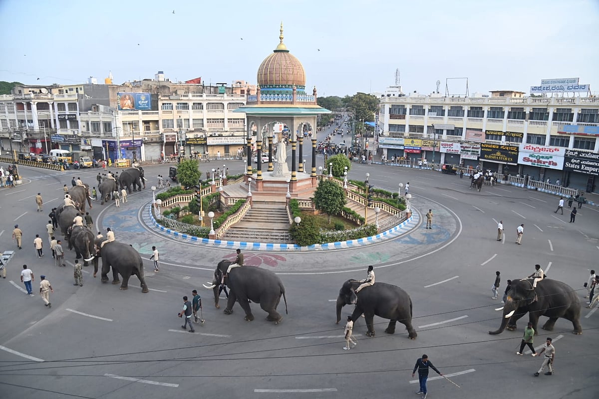ಮೈಸೂರು ದಸರಾ: ಗಜಪಡೆಯಲ್ಲಿ 'ಸುಗ್ರೀವ' ಹೆಚ್ಚು ತೂಕ