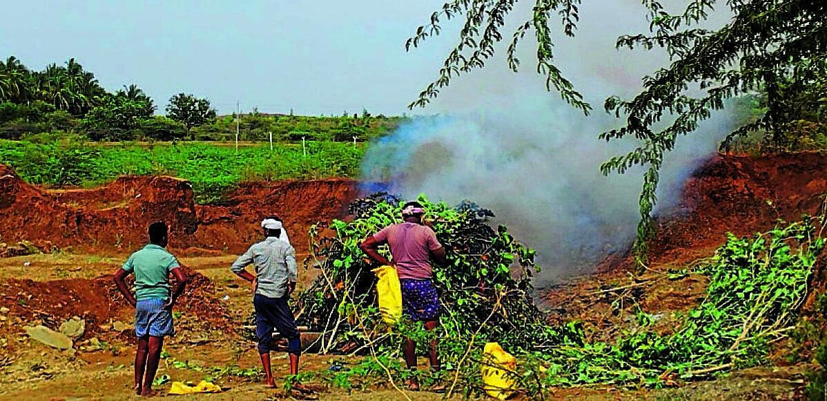 ಹಿರಿಯೂರು: ರೈತರಿಂದ ಸಾಂಪ್ರದಾಯಿಕ ವಿಧಾನದ ಮೋಡ ಬಿತ್ತನೆ
