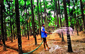 Photo: Prajavani