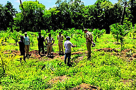 Photo: Prajavani