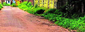 Photo: Prajavani