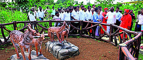 Photo: Prajavani
