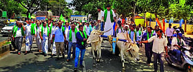 Photo: Prajavani
