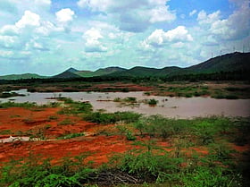 Photo: Prajavani