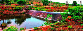 Photo: Prajavani