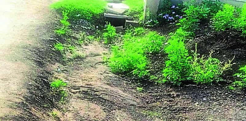 Photo from Prajavani