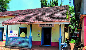 Photo: Prajavani