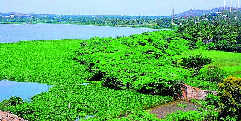 Photo from Prajavani