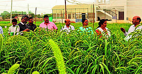 Photo: Prajavani