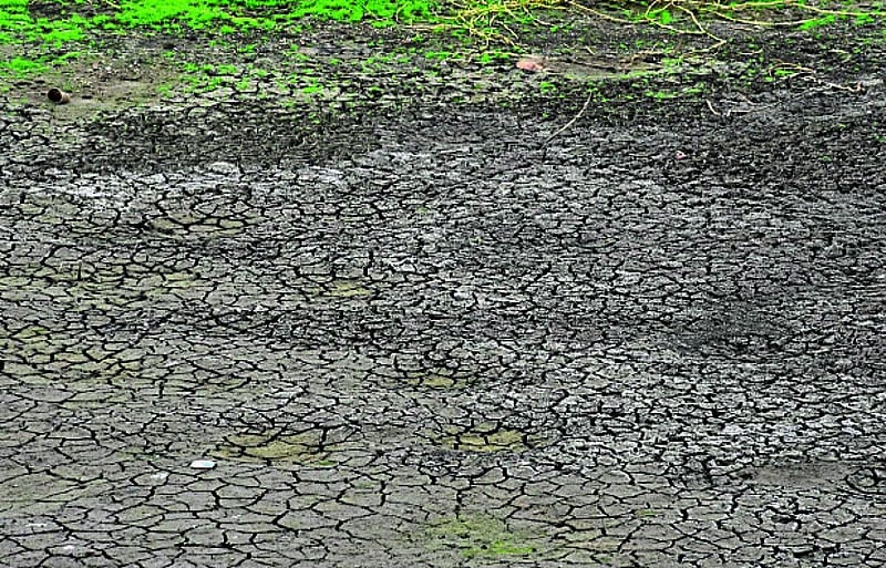 Photo from Prajavani