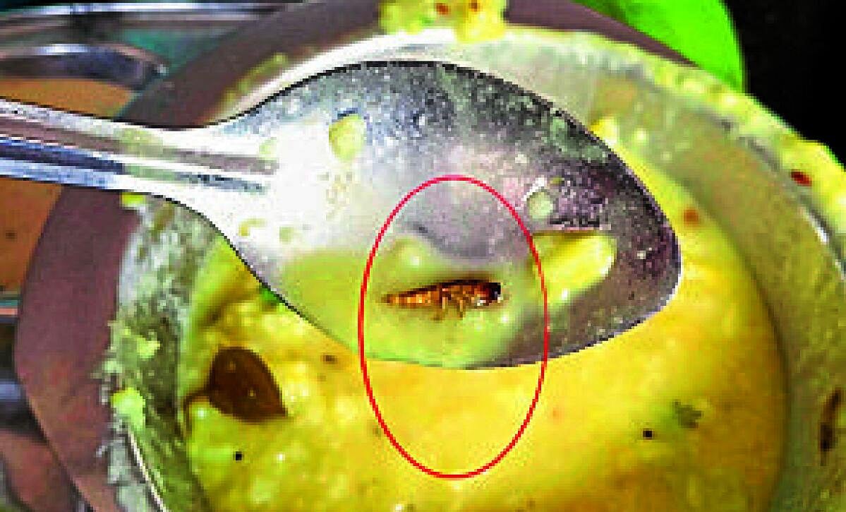 ಕೋಲಾರ ಹೋಟೆಲ್‌ ತಿಂಡಿಯಲ್ಲಿ ಹುಳು; ನಗರಸಭೆಗೆ ದೂರು