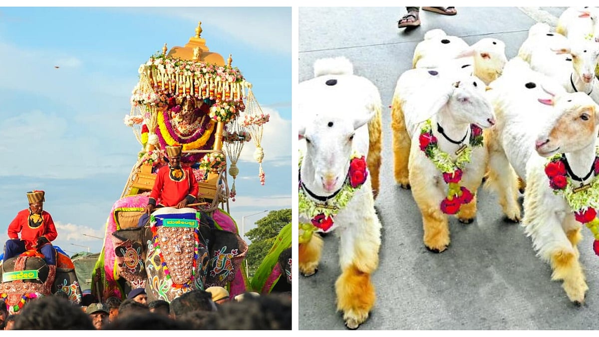 Mysore Dasara:ಈ ಬಾರಿ ರೈತ ದಸರದಲ್ಲೇನಿದೆ, ಬಗೆಬಗೆಯ ಕಾರ್ಯಕ್ರಮಗಳ ಆಯೋಜನೆ