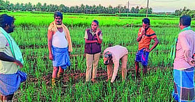 Photo: Prajavani