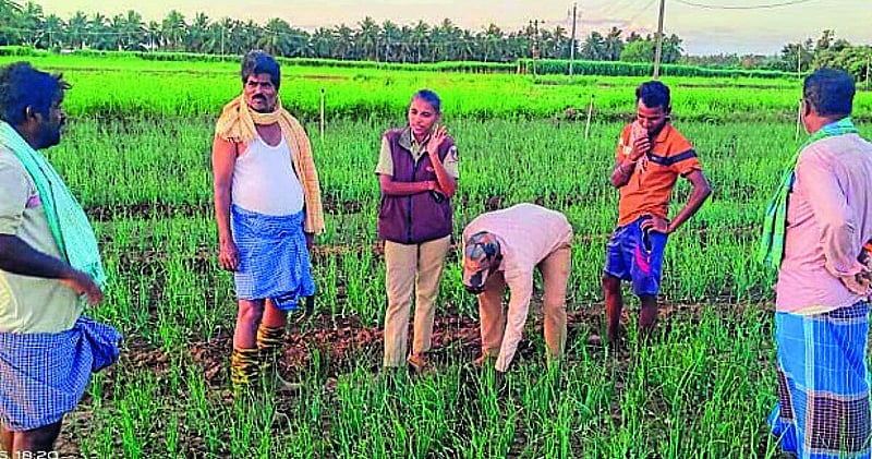 Photo from Prajavani