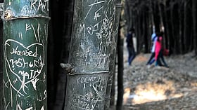 Photo from Prajavani