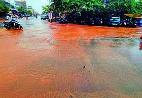 Photo: Prajavani