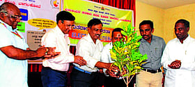 Photo: Prajavani