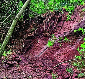 Photo: Prajavani