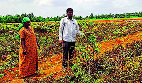 Photo: Prajavani