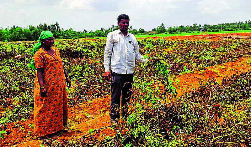 Photo from Prajavani
