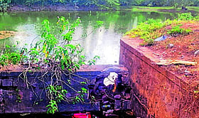 Photo: Prajavani