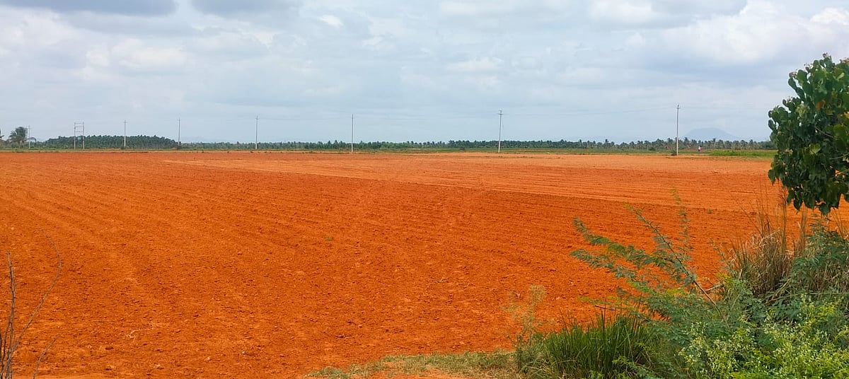ಬರ ತೀವ್ರಗೊಳಿಸಿ ಮರೆಯಾದ ಮುಂಗಾರು