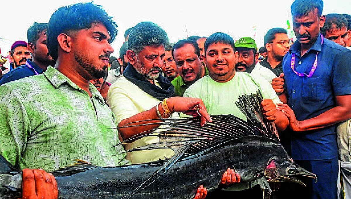 ಮಂಗಳೂರು ಬಂದರಿನಲ್ಲಿ ವ್ಯವಹಾರ ಸ್ಥಗಿತಗೊಳಿಸಿದ್ದಕ್ಕೆ ತನಿಖೆಗೆ ಸಿಎಂ ಆದೇಶ