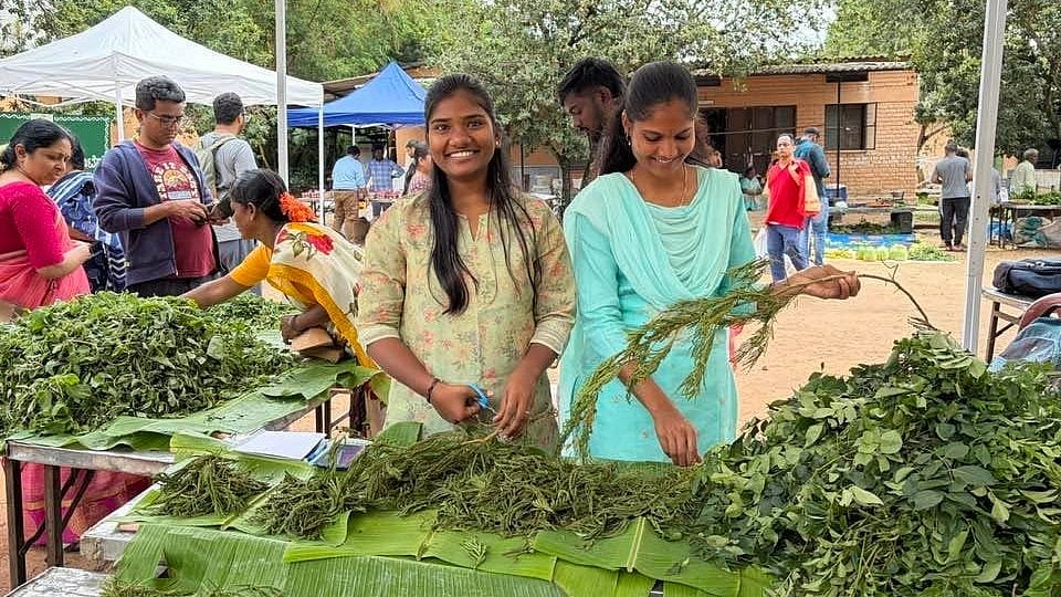 ಬೆಂಗಳೂರಿನ ರಾಗಿಕಣದಲ್ಲಿ ಸೊಪ್ಪು ಮೇಳದ ಸಂಭ್ರಮ, 150 ಬಗೆ ಬಗೆಯ ಸೊಪ್ಪುಗಳ ಘಮಘಮ