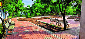 Photo: Prajavani