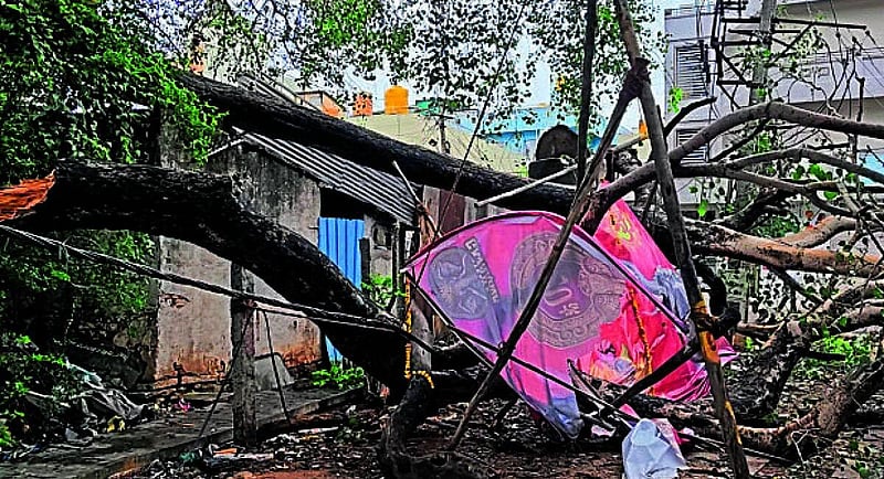 Photo from Prajavani