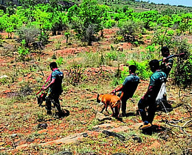 Photo: Prajavani