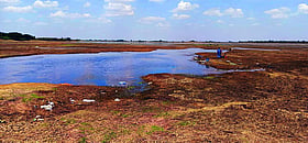 Photo: Prajavani