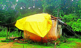 Photo: Prajavani