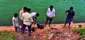 Photo: Prajavani