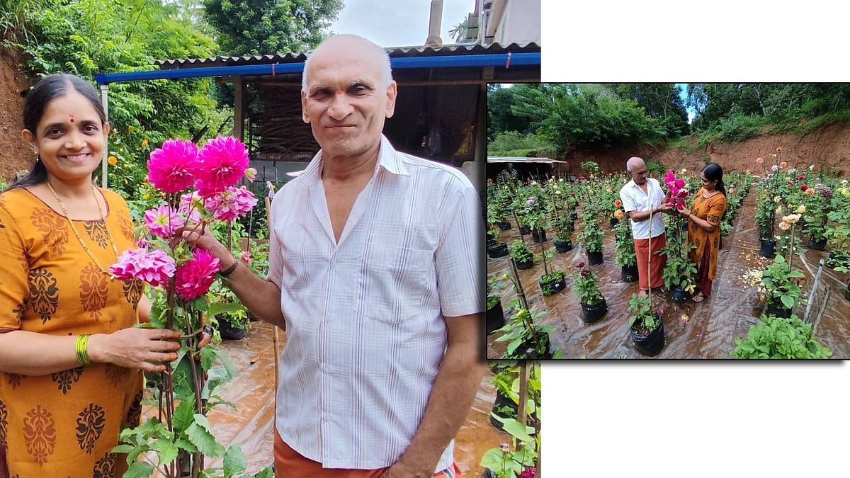 ಅನ್ನದ ಬಟ್ಟಲು: ವರದಾಮೂಲದ ಉಷಾ‌ರ ಡೇರೆ ಹೂವಿನ‌ ಲೋಕ; ಹವ್ಯಾಸದಿಂದ ಆದಾಯದವರೆಗೆ
