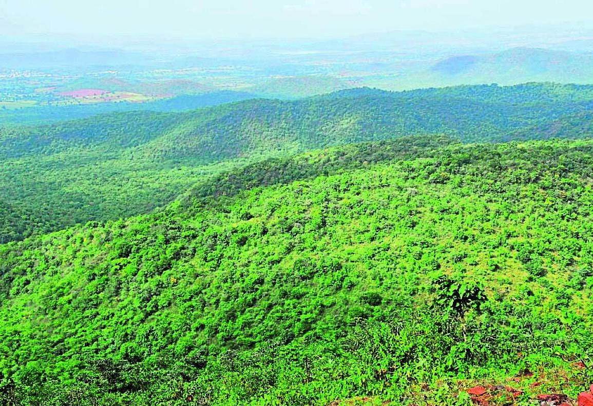 ಗದುಗಿನ ಕಪ್ಪತ್ತಗುಡ್ಡದಲ್ಲಿ ಪ್ರವಾಸಿಗರಿಲ್ಲದೆ ಮೌನ