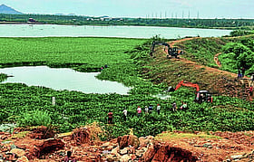 Photo: Prajavani