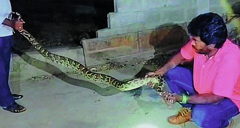 Photo from Prajavani
