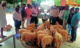 Photo: Prajavani
