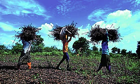 Photo: Prajavani