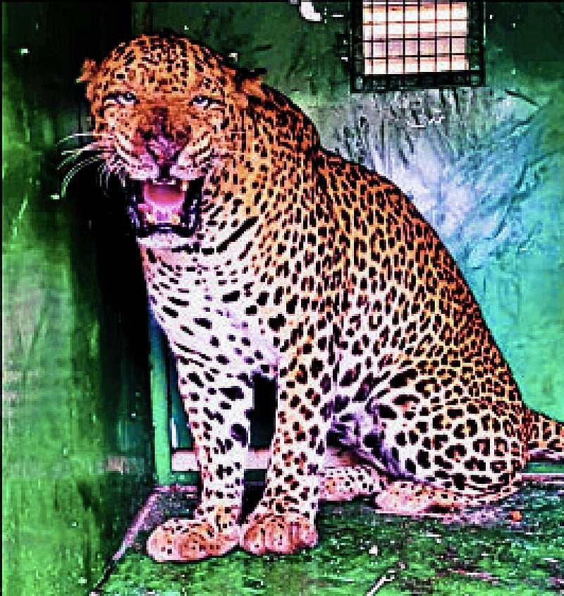 Photo from Prajavani
