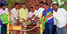 Photo: Prajavani