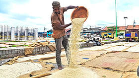 Photo: Prajavani